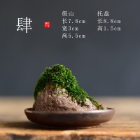 苔藓盆栽假山吸水石盆景水培青苔造景办公室桌面净化空气花盆摆件 [肆-假山苔藓盆栽] 小