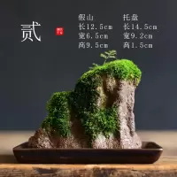 苔藓盆栽假山吸水石盆景水培青苔造景办公室桌面净化空气花盆摆件 [贰-假山苔藓盆栽] 小