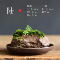 苔藓盆栽假山吸水石盆景水培青苔造景办公室桌面净化空气花盆摆件 [陆-假山苔藓盆栽] 小