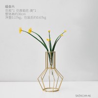 北欧ins风金色轻奢小清新水培客厅餐桌干花插花桌面装饰花瓶摆件 组合6