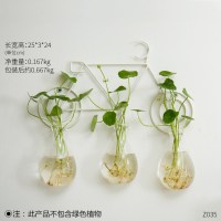 创意个性小清新水培绿萝透明玻璃花瓶摆件办公桌客厅装饰插花容器 24CM自行车