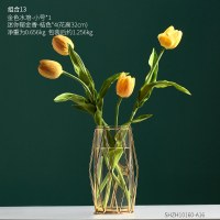 北欧ins大号水培器皿花瓶摆件餐桌办公室装饰品小清新插花花卉 玻璃花瓶水培组合16