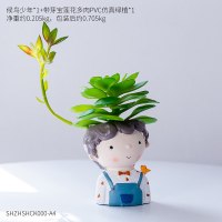 北欧ins客厅插花女孩小清新干花小花瓶家居饰品创意桌面迷你摆件 候鸟少年+带芽宝石莲