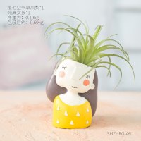 北欧ins客厅插花女孩小清新干花小花瓶家居饰品创意桌面迷你摆件 纯真女孩+空气草凤梨