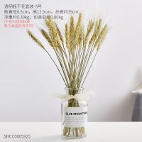 北欧小棕瓶ins家居创意水培容器透明玻璃花瓶餐桌摆件客厅装饰品 干花带瓶套装-5号