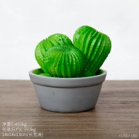 创意仙人掌盆栽家居室内装饰品卧室摆设房间个性小夜灯床头柜摆件 13cm发光的三只仙人球