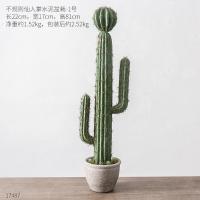 仙人掌盆栽客厅家居装饰品办公室酒柜电视柜小摆件房间卧室摆设 1号不规则仙人掌水泥盆栽