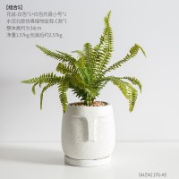 北欧ins风创意陶瓷仿真植物盆栽 客厅装饰品假花盆桌面个性小摆件 仿真植物盆栽加托盘组合5