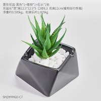 北欧ins风陶瓷装饰多肉仿真植物小盆栽创意室内桌面绿植迷你摆件 菱形黑色仿真盆栽-2