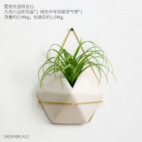 ins北欧室内仿真绿植壁挂花盆装饰品摆件创意插花微景观花盆景 几何壁挂花盆-六边形+中号凤梨空气草-绿色