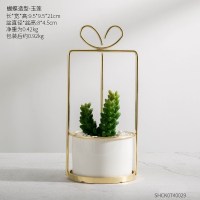 北欧ins多肉仿真绿植物摆件陶瓷创意仙人掌盆栽客厅卧室桌面布置 蝴蝶款-玉莲
