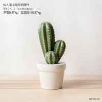 陶瓷仙人掌盆栽卧室房间装饰品酒柜电视柜小摆件办公桌客厅小摆设 仙人掌-6号陶瓷盆栽