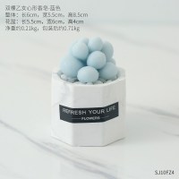 diy创意手工小礼品可爱个性多肉植物型香皂迷你造型礼盒洗手摆件 多肉香皂大理石盆-双棵乙女心蓝