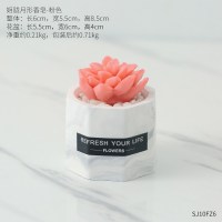 diy创意手工小礼品可爱个性多肉植物型香皂迷你造型礼盒洗手摆件 多肉香皂大理石盆-姬陇月红