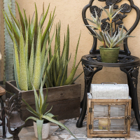 大型芦荟仿真植物 龙舌兰热带绿植装饰摆件拍摄陈列道具 开普芦荟