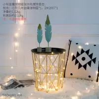 ins风铁网置物架服装店摆设品小创意北欧收纳筐室内落地装饰摆件 小号金属储物篮(包含灯不包含羽毛摆件)