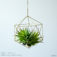 天花板仿真植物室内装饰吊饰幼儿园悬挂花架空中挂饰教室创意挂件 多边形花架+剑舌兰
