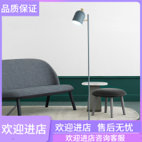 北欧ins风 CIAA简约现代客厅个性立式台灯 书房卧室床头 马卡龙落地灯