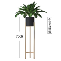 北欧轻奢小空间花架CIAA 落地摆件置物架花盆现代客厅简约室内电视柜 黑色20x20x70CM