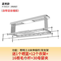 遥控升降电动晾衣架CIAA室内阳台双杆式烘干晒衣伸缩凉衣机 H-9601A(太空银)