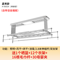 遥控升降电动晾衣架CIAA室内阳台双杆式烘干晒衣伸缩凉衣机 H-9603A（太空银）