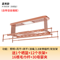 遥控升降电动晾衣架CIAA室内阳台双杆式烘干晒衣伸缩凉衣机 H-9603B（玫瑰金）