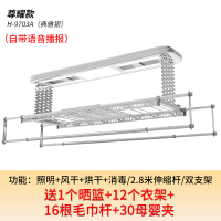 遥控升降电动晾衣架CIAA室内阳台双杆式烘干晒衣伸缩凉衣机 H-9703A(太空银)