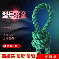 绳子捆绑绳尼龙绳子耐磨晾衣服晒被户外货车绿色聚乙烯 绳粗细 [10mm]10米