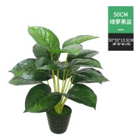 绿植红掌绿萝假花客厅室内装饰绿色植物落地 盆栽摆设 50cm绿萝黑盆套装