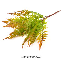 植物墙绿植墙面装饰花墙背景墙布景网红墙人坪 皮 深卡其布色秋衫草