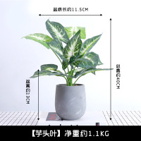 北厅绿色植物ins小盆栽摆件创意家居办公室桌面装饰假花 芋头叶