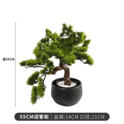 新中式大型创意假树迎客松盆景植物摆设室内落地装饰绿植摆件 55cm迎客松+黑瓷盆