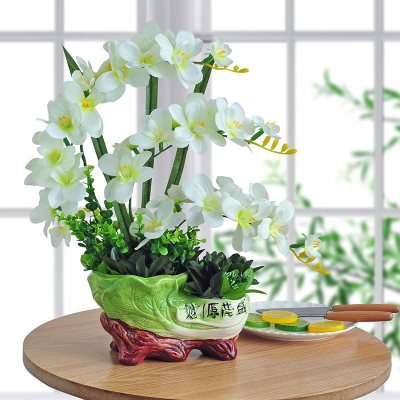 绿植物盆栽 花假花摆设家居客厅电视柜茶几装饰品摆件 财源茂盛苍兰白色