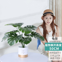 大型北欧植物落地天堂鸟盆景室内装饰假盆栽绿植摆件旅人蕉树 50cm龟背白瓷盆(圆)