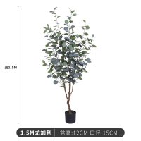 大型北欧植物落地旅人蕉盆景室内客厅装饰假盆栽绿植摆件树 1.5米尤加利