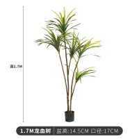 大型北欧植物落地旅人蕉盆景室内客厅装饰假盆栽绿植摆件树 1.7米龙血树