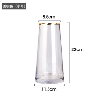 轻奢花瓶摆件客厅插花大透明玻璃家居装饰品水养北欧描金创意简约 透明色(小号)一级品