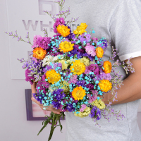 云南勿忘我鲜花CIAA真花满天星花束客厅摆设花干花花束家居装饰摆件 六色+情人草雏菊蓝满2斤