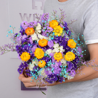 云南勿忘我鲜花CIAA真花满天星花束客厅摆设花干花花束家居装饰摆件 白+浅紫+紫+情人草+10雏菊+蓝满2斤
