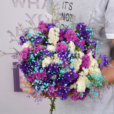 云南勿忘我鲜花CIAA真花满天星花束客厅摆设花干花花束家居装饰摆件 白+紫+玫红+情人草+蓝满(染色)2斤