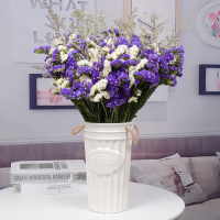 云南勿忘我鲜花CIAA真花满天星花束客厅摆设花干花花束家居装饰摆件 紫+白+情人草长款2斤不含花瓶