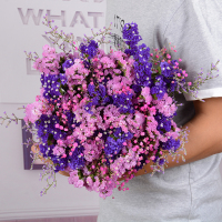 云南勿忘我鲜花CIAA真花满天星花束客厅摆设花干花花束家居装饰摆件 紫+粉+情人草+玫红满(染色)2斤