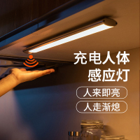 充电橱柜灯衣柜灯红CIAA外线led人体感应灯带免线厨房感应灯