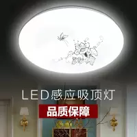 人体感应灯led过道灯CIAA雷达家用灯泡吸顶灯走廊灯楼道灯楼梯声控灯