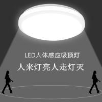 雷达人体感应声控灯CIAA楼梯led楼道家用口吸顶灯走廊过道楼梯