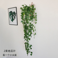 壁挂花墙壁装饰挂件客厅墙上CIAA仿真植物壁挂咖啡厅奶茶店创意墙花盆 地瓜叶二束(送小篮子)