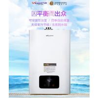 万和平衡式燃热JSG22-11ETP80B