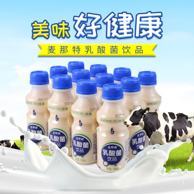 麦那特 乳酸菌饮品(杀菌型)340ml*12盒 零脂肪 优质奶源