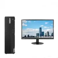 联想(Lenovo)开天M70f 国产化商用办公小机箱电脑 D2000 8G 256G 2G独显 三年硬盘不返还 试用版麒麟10 配23.8英寸显示器