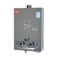 皇冠雷行JSG12-E平衡式燃气热水器